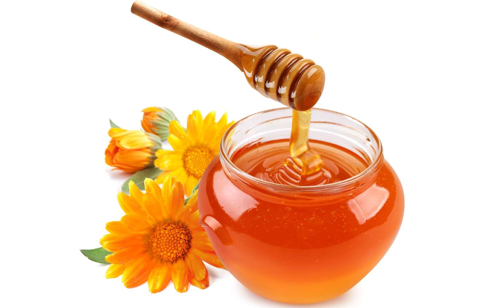 Целебный мед | Собственная пасека