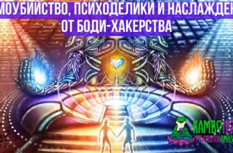 Самоубийство, психоделики и наслаждение от боди-хакерства