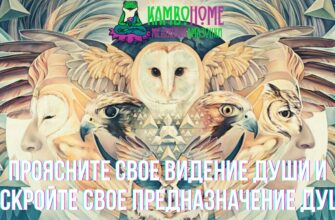 Проясните свое видение души и раскройте свое предназначение души