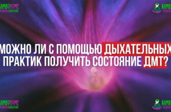 Можно ли с помощью дыхательных практик получить состояние ДМТ?