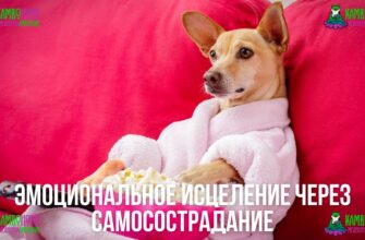 Эмоциональное исцеление через самосострадание