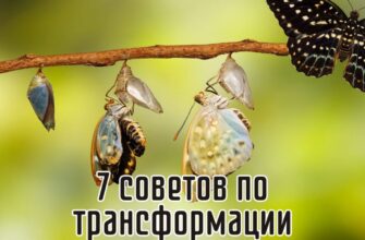 7 советов по трансформации негативных установок 🌟 Эмоции и эмоциональное благополучие
