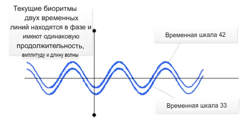 Несовпадение эволюционных биоритмов временных линий 33 и 42 и усиление разделения реальностей людей