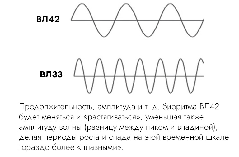 Несовпадение эволюционных биоритмов временных линий 33 и 42 и усиление разделения реальностей людей