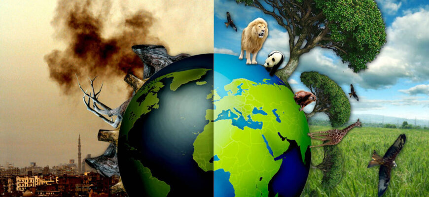 Забудьте об этом 🌟 возможность, заблуждения, иллюзия, интуиция, истина, крепость, личная ответственность, любовь, матрица, ментальное вложение, мечта, образование, политика, прокладывание пути, реальность, саморазвитие, свобода, сила, сознание, сострадание, спаситель, страх, творчество, человеческая природа