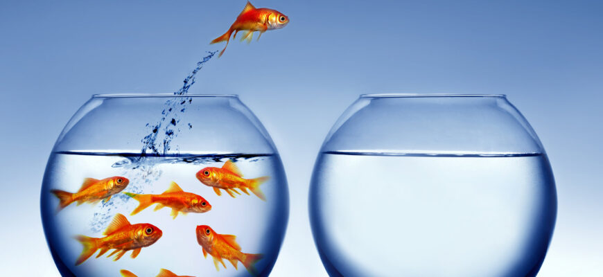 Измени себя... 🌟 внутренний рост, внутренний судья, изменение, личная политика, личное развитие, личные ценности, личный руководитель, международные отношения, новые перспективы, переосмысление, правосудие, реальность, самосознание, самоуправление, социальные перемены, стратегия, экологические отношения