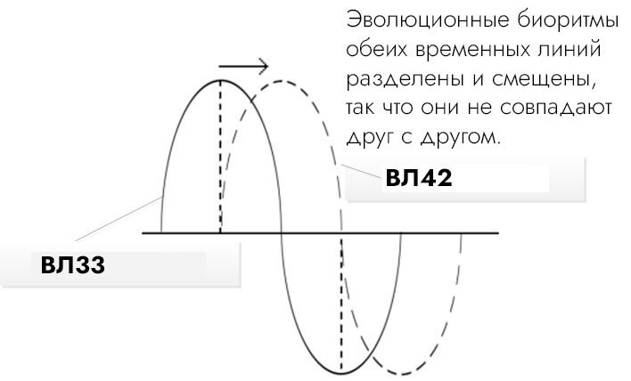 Несовпадение эволюционных биоритмов временных линий 33 и 42 и усиление разделения реальностей людей