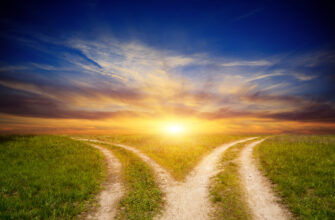 Простой выбор 🌟 Истинная природа реальности