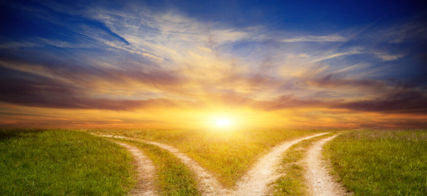 Простой выбор 🌟 власть, выбор, долговечность, жестокость, жизненно важное различие, забвение, иллюзия, информация, манипуляции, несправедливость, обусловленное восприятие, порочные циклы, свобода, социальная реальность, социальное рабство, трансформация, уверенность, успех