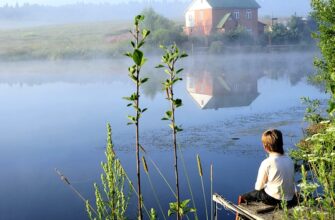 Представьте себе это: спокойствие пруда и уроки жизни 🌟 🌿 Саморазвитие